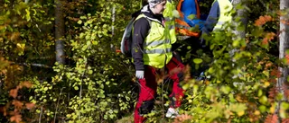 Bärplockare eller jägare kanske löser fallet med försvunne Olle Forsberg – polisen: ”Vi har gjort massor” 