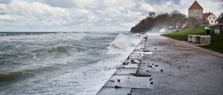 STORMBILDERNA Flundran flög långt upp på land