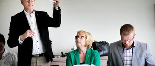 Stuprör eller helhetsseende