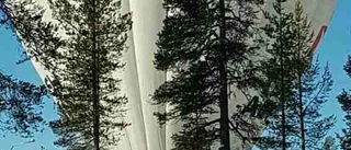 När man får oväntat besök...