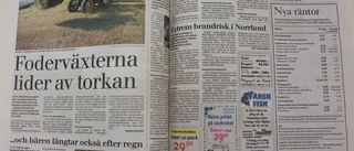 När medelhavsvärmen slog till