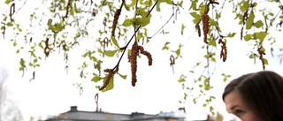 Nu finns det pollen i luften
