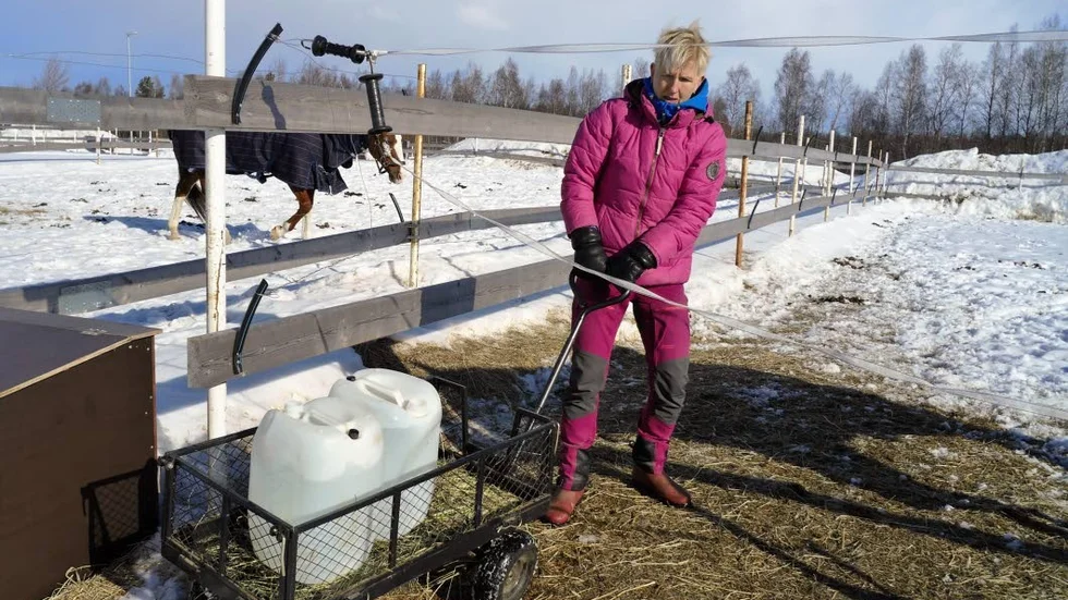 En häst dricker mycket vatten. Varje dag fyller personalen på drygt 600 liter.