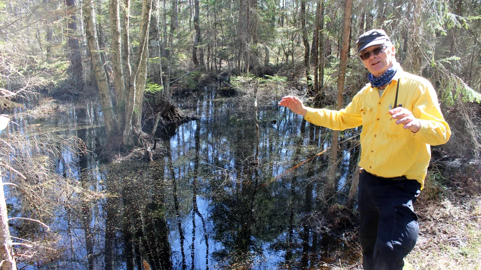 Mikael Burgman vid den vackra miljön vid våtmarkssatsningen i naturreservatet i norra delarna av Finspångs kommun.