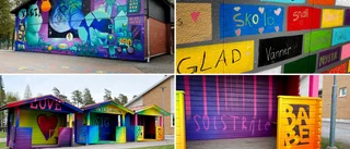 Konstnärlig förvandling ska öka tryggheten: "Varför ser inte alla skolor ut så här?"