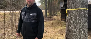 Boende tar strid mot trädfällning: "Jag är helt bestört"