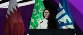 Norge och Tyskland vill starta Qatarfond