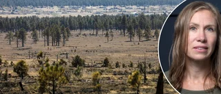 Kan norra Sverige lära sig något av energiomställningen i Arizona?