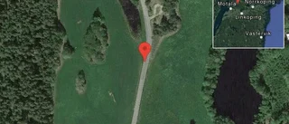 Fallna träd skapar problem i trafiken