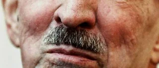 I Bergmans spår