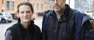 Nytt virus hos nöt och lamm