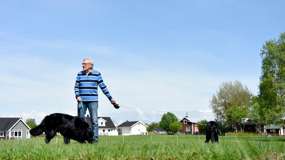 Tillsammans med Trippa och Kompis, två livfulla flatcoated retrievers stortrivs Hans Chrunak i villan i Kallax.