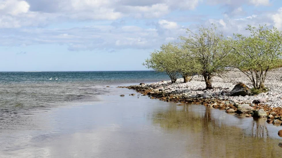 Asunden är ett av de nya Natura 2000-områdena på Gotland.