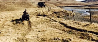 Daniel testade livet som cowboy i USA
