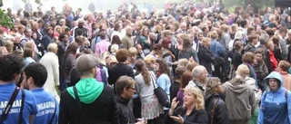 Almedalsveckan: Gotlänningarna är smarta