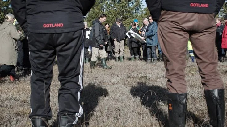 Miljödomstolen på fältvandring i Ojnareskogen