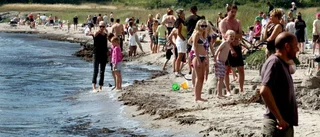 De vill skapa en arena för turism