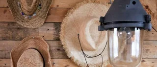 Varmt hus med plats för vänner
