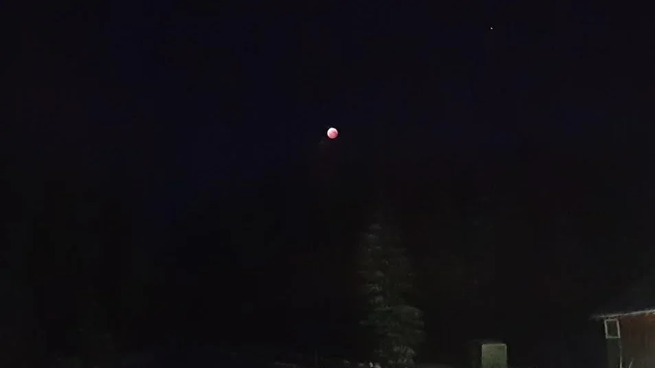 Gammelbyn, Lövånger.