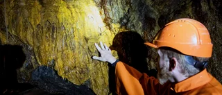 Regional protektionism hinder för fossilfri omställning