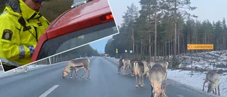 Trafikpolisens uppmaning inför rensäsongen på vägarna: "Rengör lyktorna" • Viktiga detaljen som många missar 