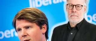 Därför ska Liberalerna välja Ullenhag