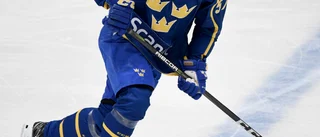 Norran avslöjar: Klassisk NHL-klubb jagar Djuse