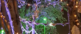 Marie Elenius bild från Snöfestivalen i Kiruna