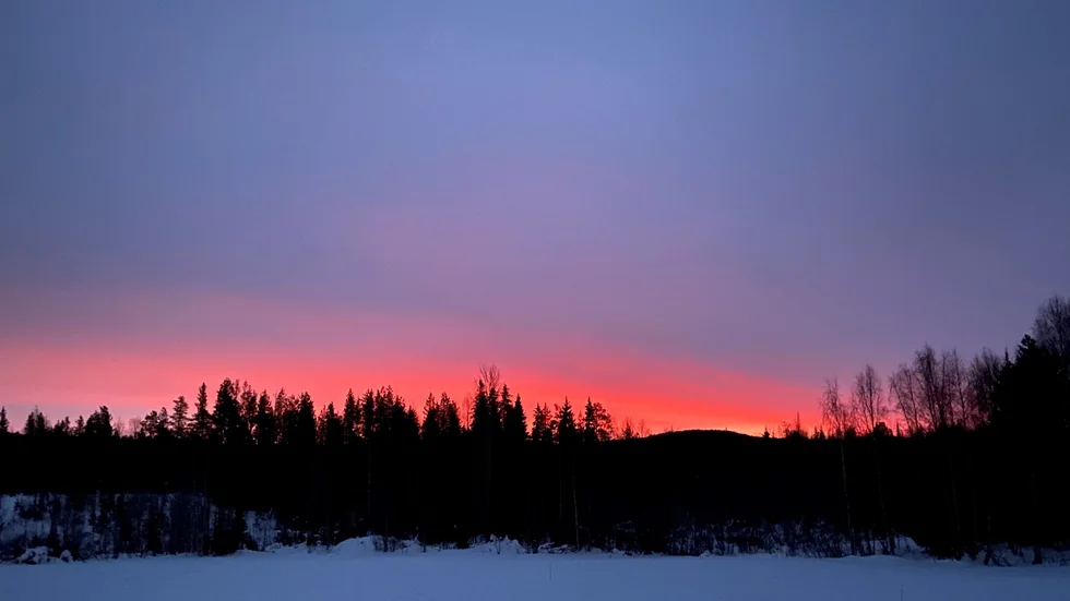 I gryningen. Den 18 januari klockan 07:45 fotade Carina Glim denna bild i Vilkos, Överkalix.