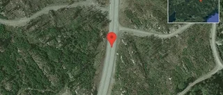 Fallna träd skapar problem i trafiken på väg 55