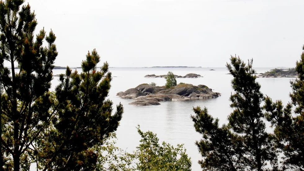 Östersjön. Nu inleds projektet "Coast4us" där bland andra Norrköpings kommun är med för att ytterst utveckla kusten och havet.