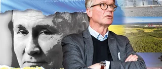 Regeringens samordnare om krigets effekter: "Fortsätt arbetet framåt – får inte bli paralyserade"