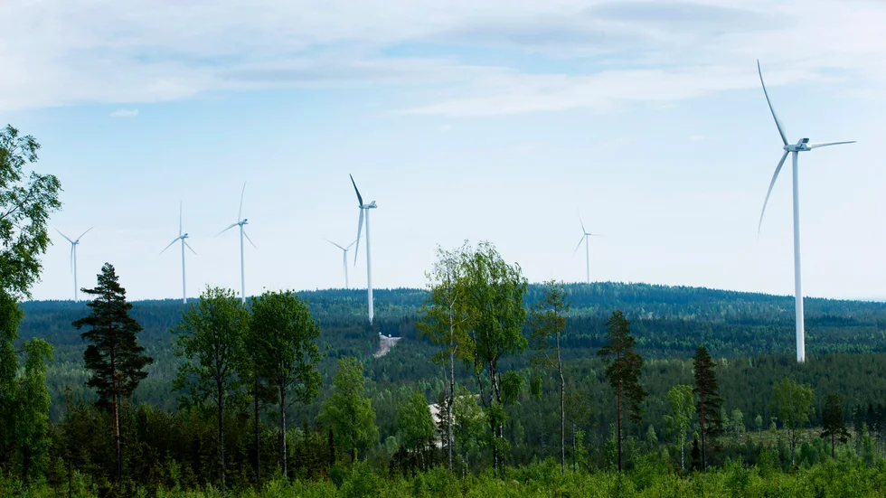 Vindkraftverk. Foto: Lars Pehrson / SvD / TT.