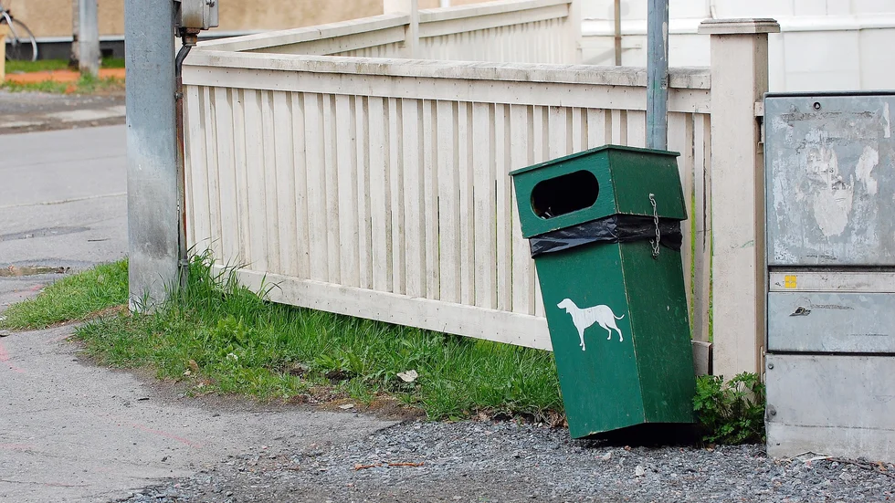 Vill ha rent. Förslagsställaren vill se bättre ordning bland hundägare. Foto: Arkiv/Pär Lindström