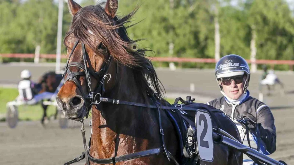 Ängskalla startar i Vincennes i februari.