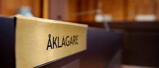 Unga män åtalas för brutalt rån