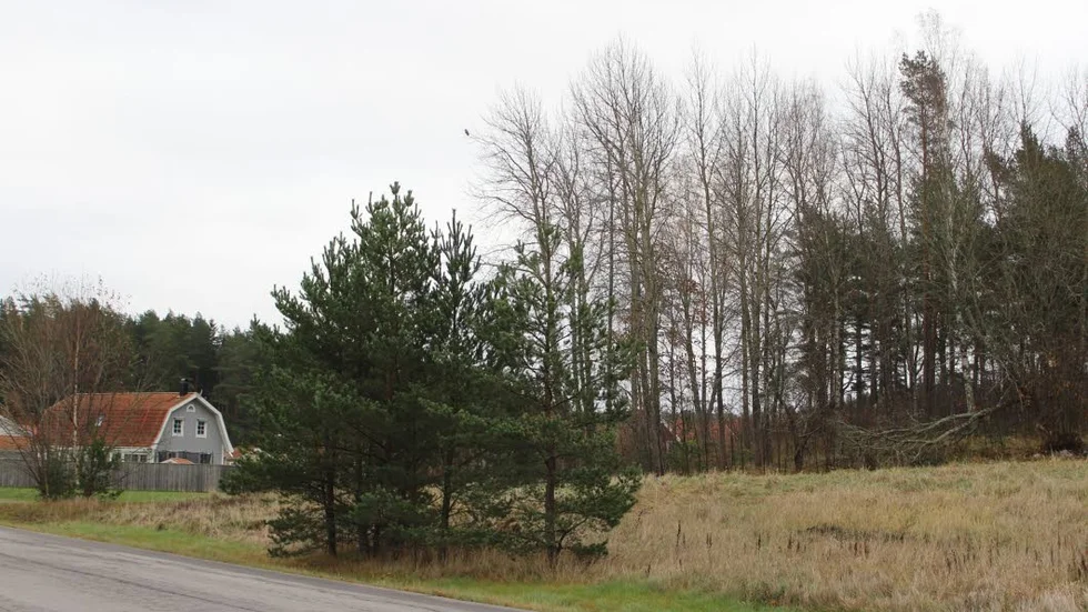 Alboga. I skogsdungen mellan stallet och Kompassvägen vill kommunen bygga ett flerbostadshus utan att invänta en detaljplan.