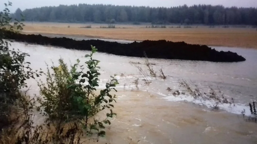 Flytande slam. Det som många var oroliga för hände på tisdagen. Rötslammet vid Herrborumsån flöt iväg .