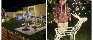 Julpyntet i Tjust - här är alla bidrag från läsarna
