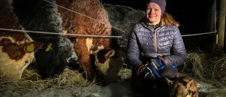 Djurägarna jublar över det inställda nyårsfyrverkeriet