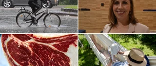 Klimatet: Använd din klimatångest rätt – Vegansk tågresa till alperna eller klimatkompenserad Thailandsresa? ”Som att vara seriemördare och spermadonator samtidigt”