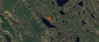 1 135 000 kronor för skogsmark i Arjeplogs kommun
