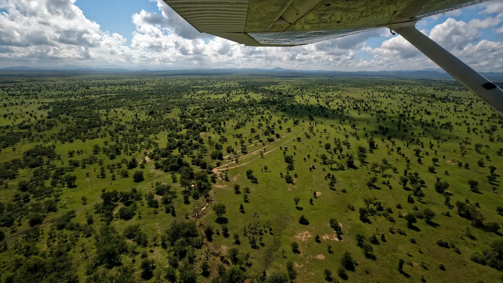 Tanzania är en stor mottagare av svenskt bistånd, vilket kritiserats på grund av landets hårdnande klimat för homosexuella.
