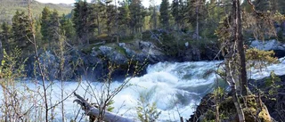 Laisälven miljonrustas för bättre tillgänglighet