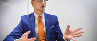 Löwenhöök (M): ”Vi borde göra ett omtag, detta kan få konsekvenser för vårt anseende”