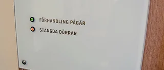 Ung man och tonårspojke åtalad för barnvåldtäkt vid fest: Delar av övergreppet ska finnas på fotografier 