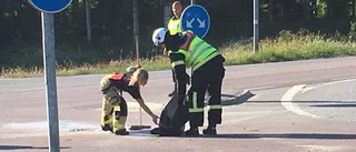 Trafikolycka med flera fordon inblandade