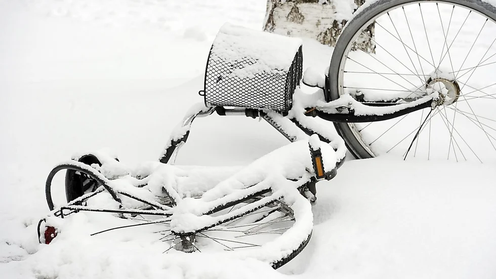 Foto: Leif Andersson