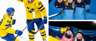 Gåshud och medaljjubel – men vem bryr sig om ishockeyn?