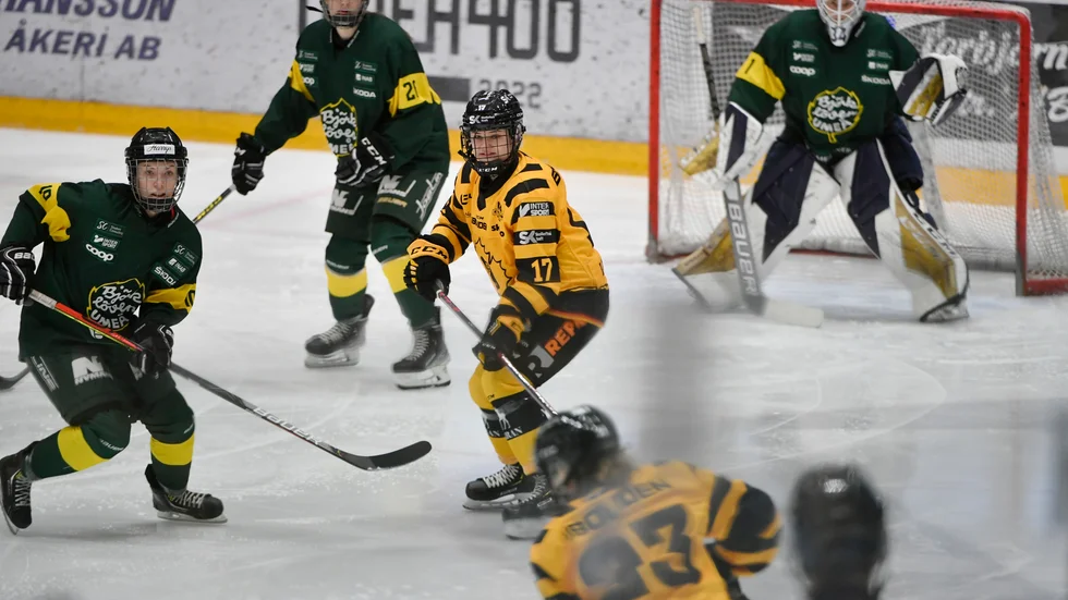 Skellefteå AIK:s damlag kommer att få tacklas i vinter efter en regeländring från förbundet.